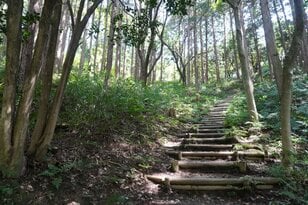 神秘的な魅力にあふれる京都の低山「甘南備山」 樹々が薫る登山道＆山頂の展望デッキからは絶景！ 2時間ハイキング【京都府京田辺市】