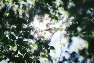 初夏の低山こそ注意！ 倦怠感や痺れを感じて歩けなくなる…「シャリバテ＆熱中症」看護師有資格ライターの実体験に学ぶ「体で起きていたこと」と「対処」とは？