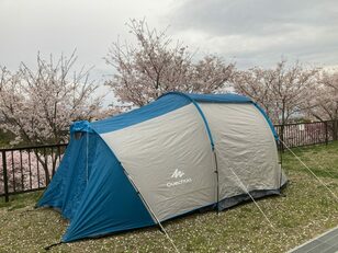 桜シーズン到来「超メジャー」スポットから「秘密の穴場」まで関西エリアで「桜を楽しめるキャンプ場」3選