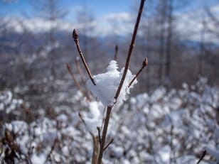 「白い絶景」雪と氷が作り出す、冬だけの自然のアート！  キャンプ・ハイキング・スキー＆スノーボードで見たい「特別な景色」4選レポート！