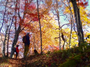 紅葉に染まる妙高の峰々に新雪が輝く！ 三段紅葉の景色が広がる「笹ヶ峰高原」 “夢見平”と“苗名滝”で秋を満喫【新潟県・2023年】