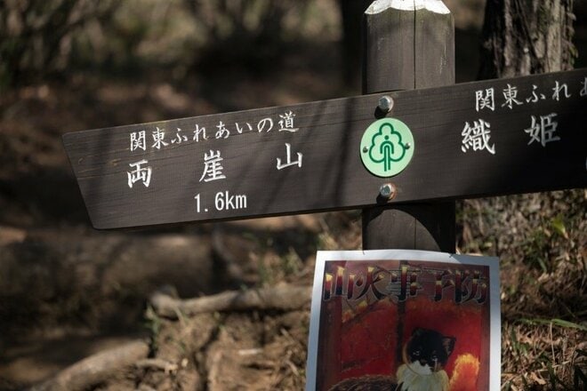 【首都圏近郊】春の週末ハイキングおすすめルート「足利アルプス」は標高の割に高度感＆歩き応え＆夜景が抜群！の画像001