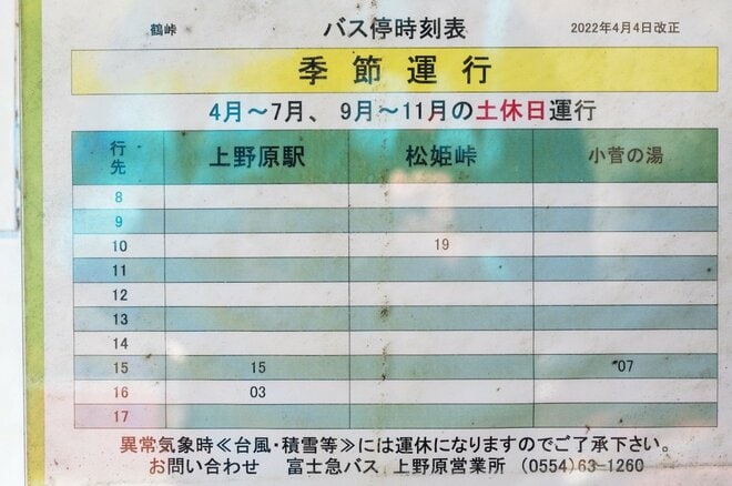 【登山口からハイライト】「アップダウンほとんどなし！」 山梨県の東端・大マテイ山の紅葉は今が見頃の画像017