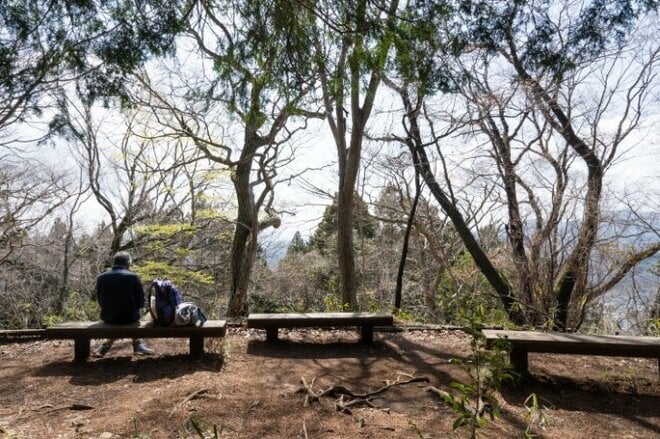 【大人気の高尾山ハイキング】混雑を回避する “静かな尾根道”「南高尾山稜」への画像009