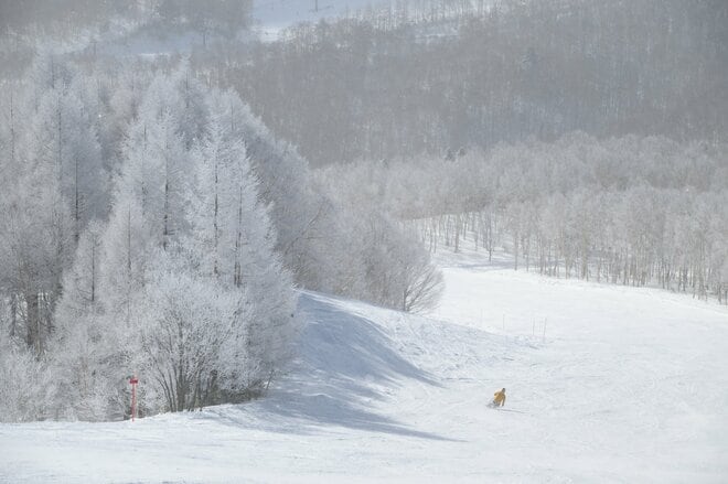 【志賀高原 焼額山スキー場】春スキーにおすすめ「この雪質、一度お試しあれ！」  誰もが “ワンランク上” の滑りができちゃう「極上ゲレンデ」とは、ここのこと！の画像008