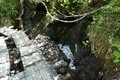 ゴンドラ・ロープウェイで一気に “花咲く湿原” へGO！ 夏の「栂池自然園」で避暑的ハイキング【2024年 長野県小谷村]の画像009