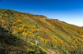 真っ盛りの紅葉を抜け、荒涼とした山頂部へ！  シマリス駆ける北海道、大雪山「赤岳」の美しすぎる絶景・紅葉狩り登山  2024年の画像003