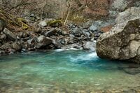 【渓流釣り】釣れなくても幸せな時間が過ごせる！？  究極のウェルビーイング 「釣り欲と妄想」で成り立つフライフィッシング・ルポ  群馬県