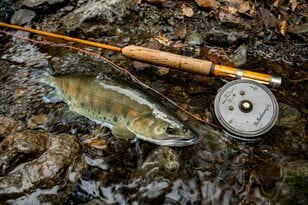 完全予約制の渓流釣り！  人数限定＆貸し切りでのびのび楽しめる「毛ばり釣り専用区」【神流川・上野村漁協】2024年