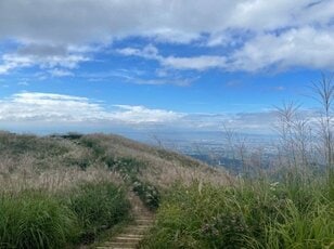 ＜紅葉前に“関西屈指”のススキの大海原もお見逃しなく！＞大阪市内から“車で小一時間で行ける”「岩湧山」ハイキングルート【里山アドベンチャー！ソトアソ日和 vol.７】