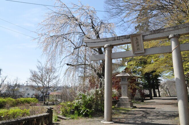 【春の信州でお花見散策】朱塗りの柱が目を引く空中楼閣！  圧巻の懸崖造り 難読「鼻顔稲荷神社」は桜の名所！  長野県佐久市・2024年の画像002