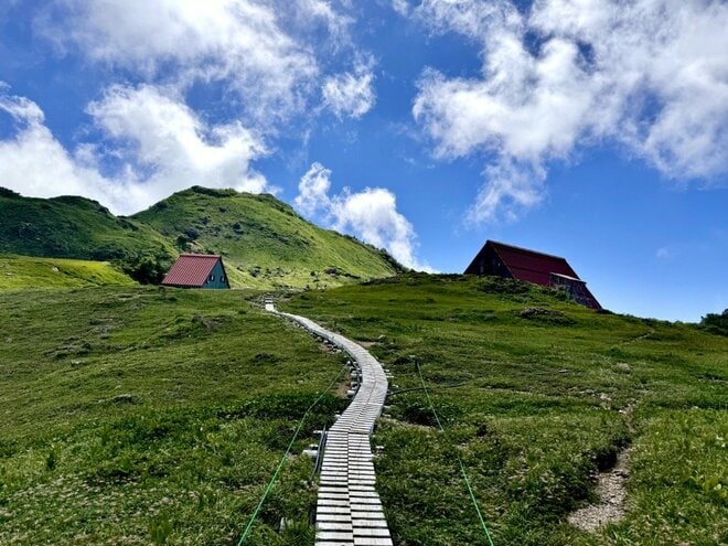 「北アルプス屈指の花の名山へ」 初夏に歩く朝日岳・雪倉岳 1泊2日の山旅【日本で山登りはじめました vol.7】の画像012
