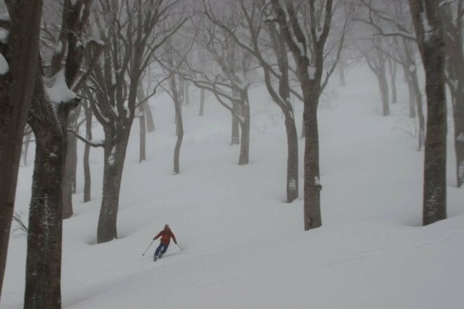 “おとぎの国”に迷い込んだような静かなブナの森を行く「のんびりバックカントリーツアー」 JAPOWを楽しむ！【長野県鍋倉山】2026年の画像009