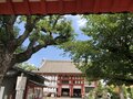 聖徳太子の施薬院があった「愛染さん」なんだかすでに懐かしいアマビエと再会！【関西おみくじジャーニー vol.16「愛染堂勝鬘院」／大阪市天王寺区】の画像002