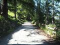 人口100人に満たない小さな山間の村、アルプスを歩きつくしたプロたちが惚れ込むイタリアの秘密の避暑地【ブーツの国の街角で vol.12「シャモワ」イタリア／ヴァッレ・ダオスタ州】の画像015