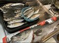 釣果アップでも「正直しんどい」雨の日の釣り！  経験者がやっている「めげないための3つの対策」レポートの画像004