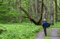 やっぱり “上高地” は泊まりの旅がいい！  明神・徳沢をめぐる『上高地さんぽ』  足を延ばしたからこそ味わえる「絶品グルメ＆優雅な山小屋時間」の画像006
