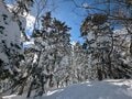 【奥飛騨・冬の温泉旅プラン】温泉旅館「界 奥飛騨」で山岳温泉の恵みに癒され、北アルプスの絶景と世界遺産「白川郷」を堪能！の画像026