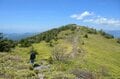 【首都圏近郊】連休明けから初夏に狙いたい植物の宝庫「新緑と花々が萌える日帰りハイキングルート」＜湯ノ丸山＞の画像012