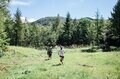 遊びながら “自然の保護と利用” を考えるサスティナブルなキャンプインイベント「乗鞍アウトドアサミット」【取材レポート】 2022年・長野県乗鞍高原の画像002
