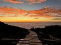 「北アルプス屈指の花の名山へ」 初夏に歩く朝日岳・雪倉岳 1泊2日の山旅【日本で山登りはじめました vol.7】の画像014