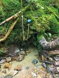 「甲武信ヶ岳」奥秩父の名峰は潤いたっぷり！ 日本一の河川「千曲川」源流沿いを歩く絶景登山【首都圏発！週末に行ける百名山ガイド vol.1】の画像001