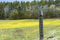 【ゴールデンウィーク】菜の花畑の奥に北アルプスがそびえる絶景！ 程よく賑わう穴場的なお花見スポット！  中山高原・長野県大町市 2022の画像005