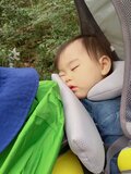歩かせなくてOK「ベビーキャリア」でも登りやすい「関東・絶景の低山」5選！  コースタイム3時間以内・乗り物利用ほか「親子ハイク入門」に最適の山の画像007