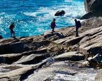NHK『あさイチ』でも紹介「謎の絶景・オハイ」とは！？  コバルトブルーの海が輝く「断崖の秘境」三重県尾鷲市「頂山」登山レポ