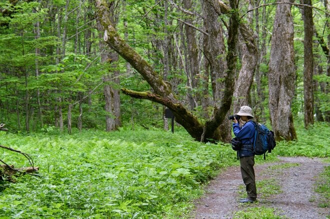 やっぱり “上高地” は泊まりの旅がいい！  明神・徳沢をめぐる『上高地さんぽ』  足を延ばしたからこそ味わえる「絶品グルメ＆優雅な山小屋時間」の画像006
