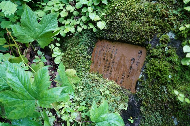 長野と新潟にまたがる避暑地「斑尾高原」は遊びがいっぱい！「ジップライン」で風切る気持ちよさは“標高の高さ”がもたらすプレゼント！の画像013