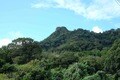 【首都圏近郊】1時間で登れるとは思えない絶景！  房総のマッターホルンこと「伊予ヶ岳」は今からのシーズンがおすすめの画像001