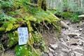 八ヶ岳北端にそびえる「蓼科山」 七合目から山頂往復ハイキング！  神聖な山で瑞々しい「苔」と大きな「岩」を堪能「日帰り登山レポ」の画像005