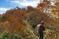 【紅葉＆登山】一面が黄色に染まるブナの原生林！ 紅葉真っ盛り！ 錦秋のトレイルを歩く中西山トレッキング 長野県長野市鬼無里・2023年の画像008