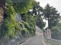 【夏山シーズンの到来！】8月半ばの「南アルプス・光岳」 最新登山情報をお知らせします【わたし、山小屋はじめます vol.76】の画像001