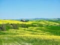 イタリアのおすすめ小旅行スポット5選！　アッシジ、スペルロンガ、オルチャ渓谷… 旅するのに最も適した初夏に訪れたいエリアとは？【ブーツの国の街角で vol.14】の画像007