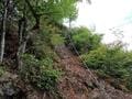 低山でも「360度パノラマ」絶景！  兵庫県丹波市「石金山」紅葉の名所「小新屋観音」から、清涼感あふれる「源流＆青もみじ」2時間ハイキングの画像007