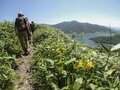 初夏の風と花が呼ぶ魅惑の稜線にニッコウキスゲを探して！  おすすめのトレイル3選 「霧ヶ峰高原・白木峰・野反湖」 2024年の画像005
