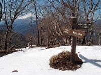 初冬「ドラマチック丹沢」登山「檜洞丸」の絶景! 新雪と樹氷&富士山「白のコラボ」落葉からの「眺望アップ」フォトレポート