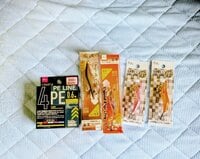 100均「ダイソー」＆「セリア」の釣り具で「マメイカ」狙ってみた！ 「これで本当に釣れるのか」半信半疑・“渋め”の状況でも… 釣果とは！？