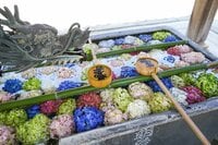 「京都」知る人ぞ知る「アジサイの名刹」約27種・5,000株に彩られる境内は絶景！  天王山「柳谷観音 楊谷寺」低山ハイキング
