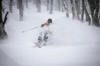 【つがいけマウンテンリゾート】栂池に降る極上の雪「TSUGA POW」に魅了されること確実！ 白馬エリア随一のビッグゲレンデ