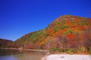 【まだ間に合う！晩秋の山歩き】紅葉終盤は落ち葉歩きで決まり「 駐車場から1時間以内の絶景」晩秋ハイク・東西2選【今日も山旅気分 vol.26】
