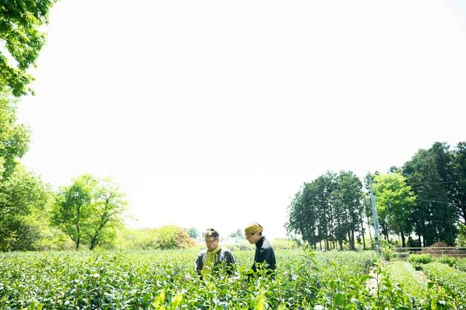 静岡・宇治と並ぶ日本三大銘茶の里で八十八夜直前の茶畑へ！ 老舗専門店で生産者が語る東京近郊産地の強みとは？【フランス人茶商の茶国漫遊記 vol.04「新茶の息吹に誘われて〜狭山茶2」埼玉県日高市】の画像008