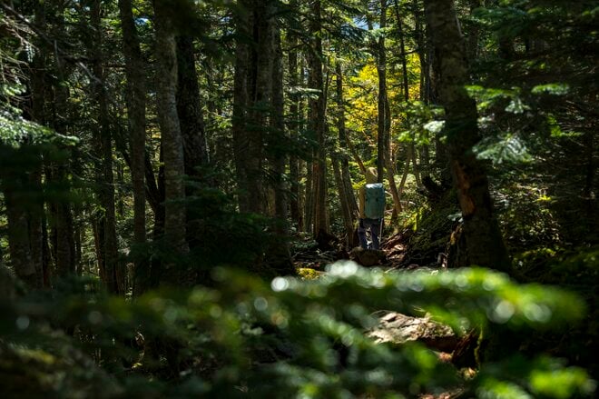 【登山】ここ数年で一番の美しさ「南アルプスの貴公子と女王の山岳紅葉」 日本の1-2-3位の高峰を望む  南アルプス・2025年の画像011