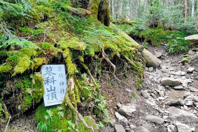 八ヶ岳北端にそびえる「蓼科山」 七合目から山頂往復ハイキング！  神聖な山で瑞々しい「苔」と大きな「岩」を堪能「日帰り登山レポ」の画像005