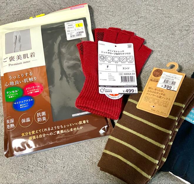 「ワークマン活用」で、冬のディズニーへ行ってみた！ 女子コーデのツボ「コスパ・防寒・見た目」を押さえた総額2,500円のアイテムとは？【屋外レジャーの参考に】の画像001