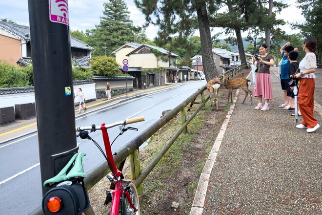 シカまたシカの寺町はミニベロ散策にぴったり！  クルマ＋ブロンプトンで行く古都・奈良の世界遺産【ゆる6輪の旅 vol.04 奈良「東大寺周辺」】の画像003