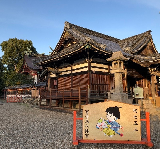 樹齢約800年！ 大迫力のクスノキ「百舌鳥八幡宮」夕暮れ時の美しさとゴルゴ13に背中を押され購入した千円の埴輪みくじの結果は！？【関西おみくじジャーニー vol.22／大阪府堺市】の画像009