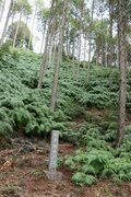 NHK大河『どうする家康』が100倍面白くなる！ 「徳川家康」父祖の地に残る「松平城」を歩く＜前編＞（奥三河・松平郷／愛知県豊田市）【家康ゆかりの山城を攻める vol.1】の画像001